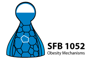 sfb-logo-neu02