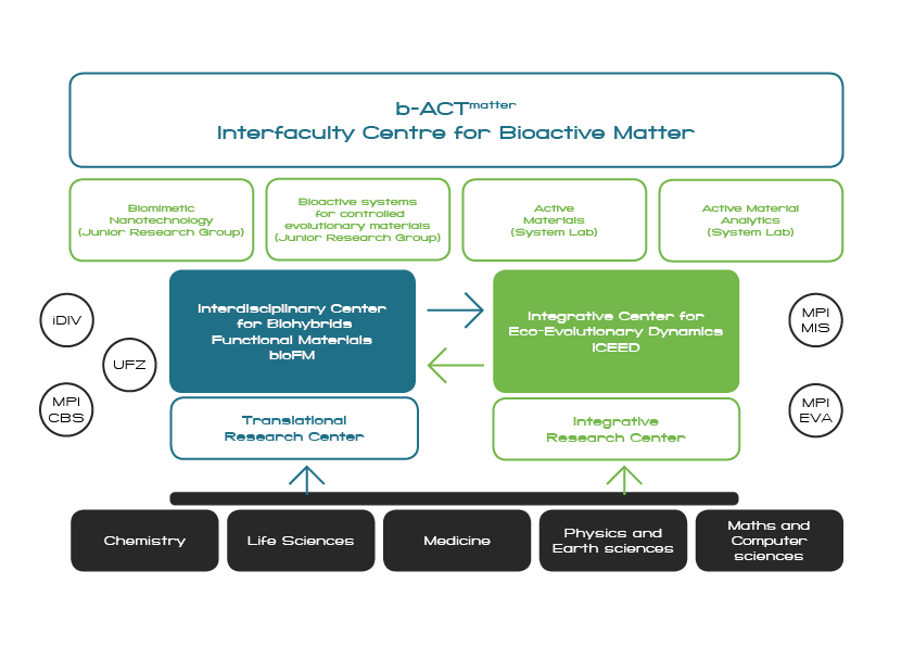 Structure Of B-ACT Matter – B-ACT Matter