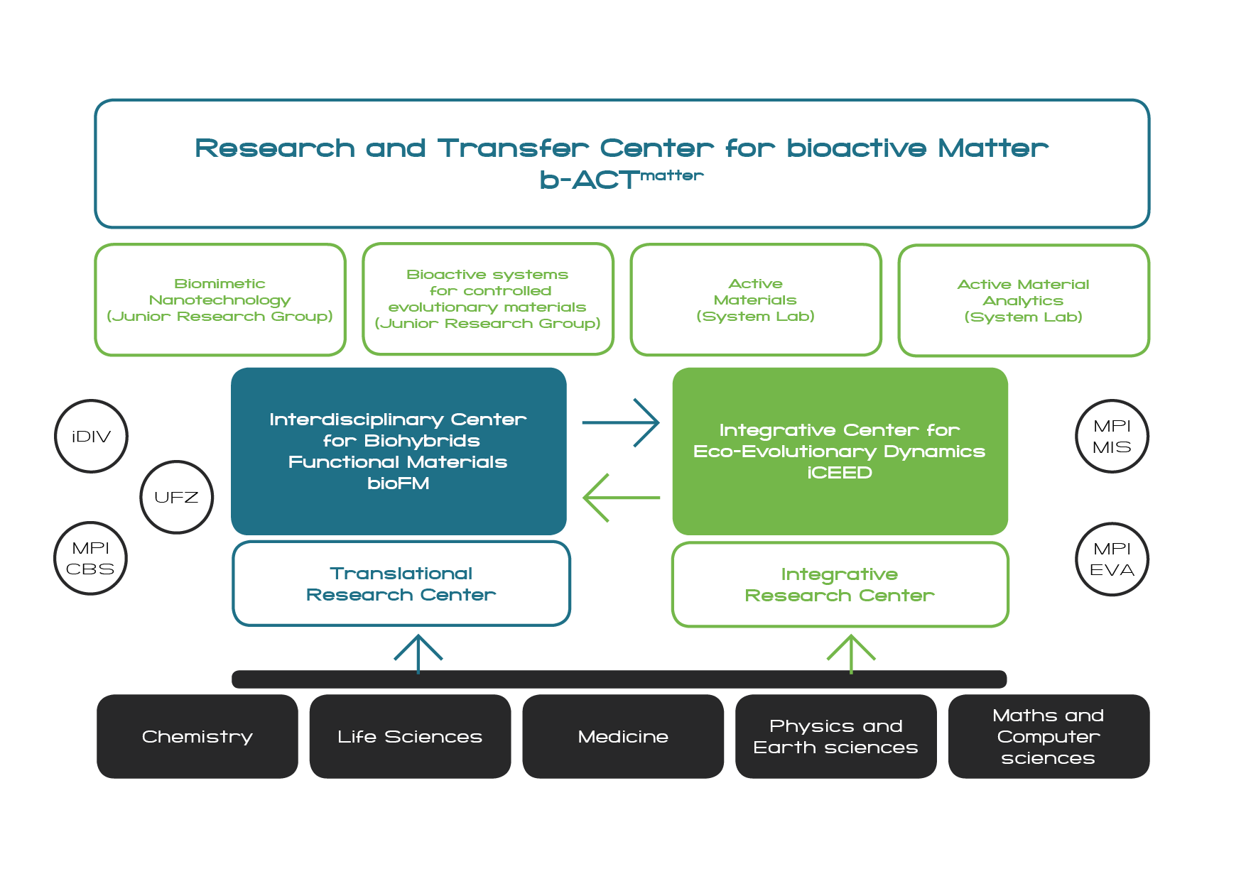 Structure Of The B-ACT Matter – B-ACT Matter