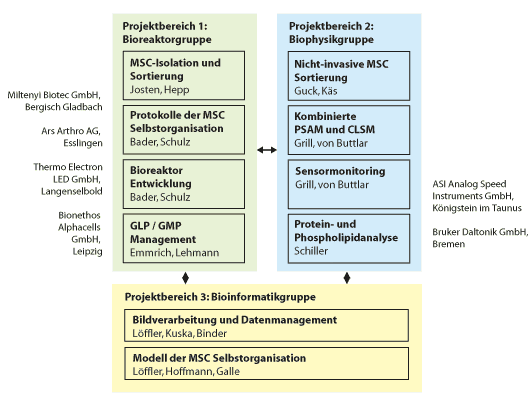 Struktur ms-cartPro