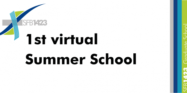 1st virtual Summer School  of the Graduate School