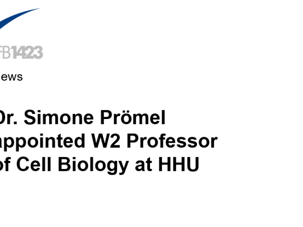 Dr. Simone Prömel appointed W2 Professor of Cell Biology at HHU