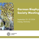 Special SFB1423 & GPCR Session within the German Biophysical Society Meeting 2024 in Leipzig (September 22-25, 2024)