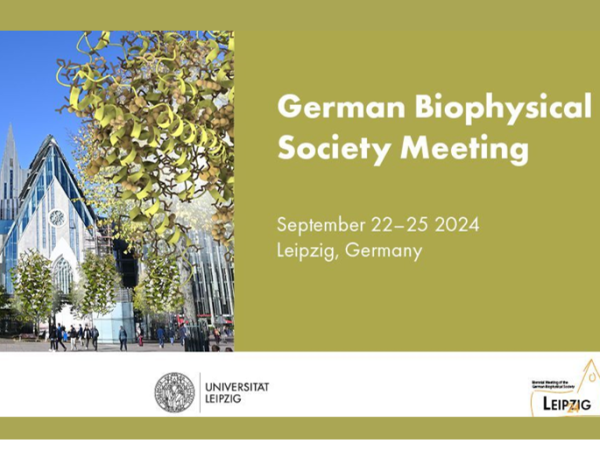 Special SFB1423 & GPCR Session within the German Biophysical Society Meeting 2024 in Leipzig (September 22-25, 2024)