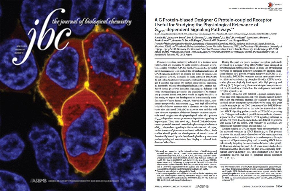 Journal of Biological Chemistry selects Vanderbilt-Leipzig article as paper of the week