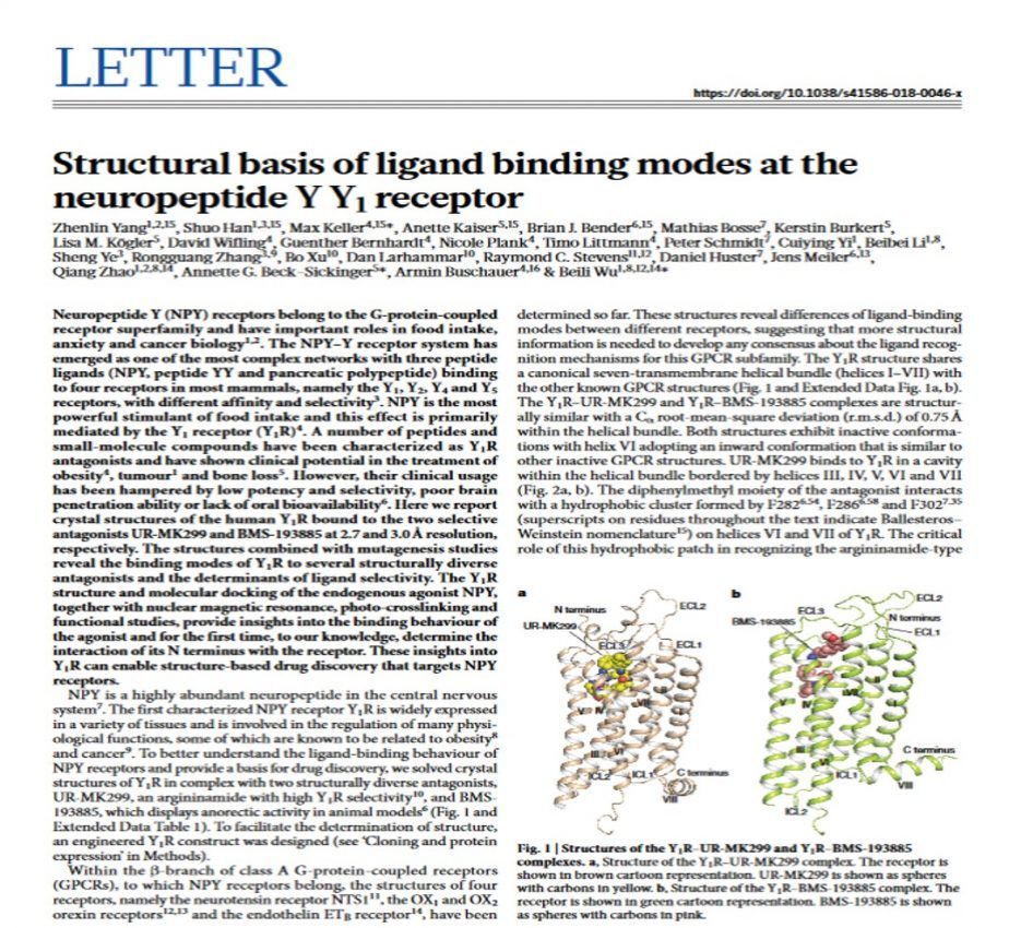 Researchers of Vanderbilt and Leipzig University discover ligand binding modes at the neuropeptide Y Y1 receptor